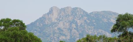 Lionrock WS